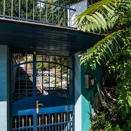 Apartmán Art Gallery